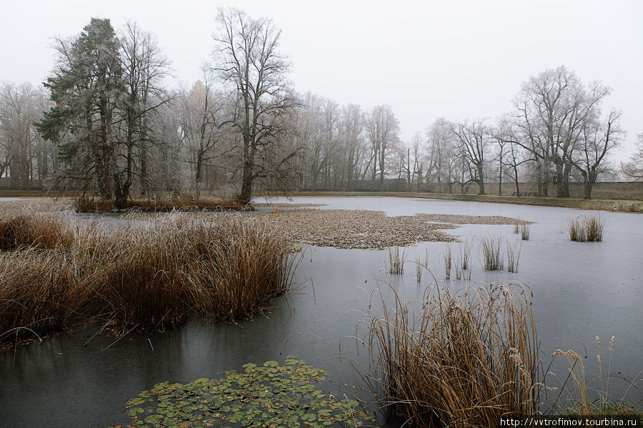 Новая зима в старом парке Чешский Крумлов, Чехия