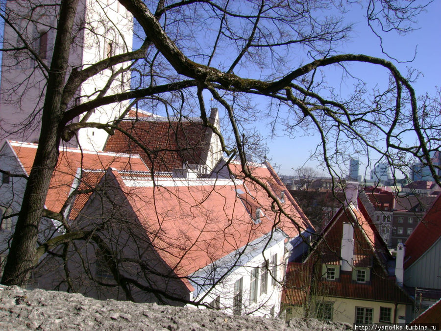 Весенние прогулки по Таллину Таллин, Эстония