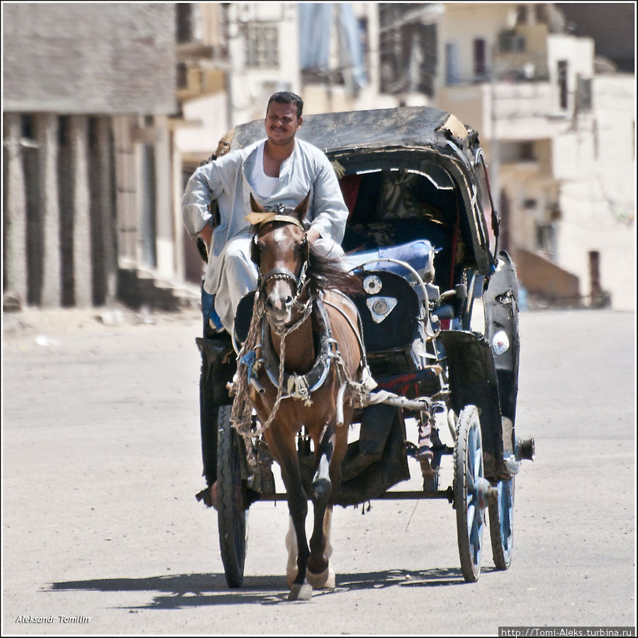 Если у тебя есть вот такая тележка, запряженная лошадьми — ты очень крутой египтянин. Мне такие повозки фотографировать было в сто раз интереснее, чем современные виды города...
* Египет