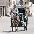 Если у тебя есть вот такая тележка, запряженная лошадьми — ты очень крутой египтянин. Мне такие повозки фотографировать было в сто раз интереснее, чем современные виды города...
*