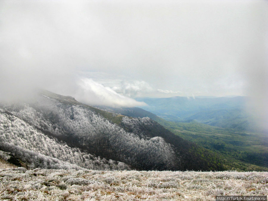 Ворота в Карпатию. Из зимы в лето Закарпатская область, Украина Ворота в Карпатию. Из зимы в лето Закарпатская область, Украина