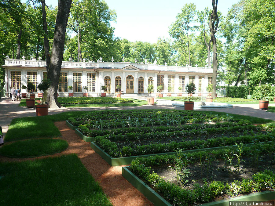 Аптекарский огород Летнего сада Санкт-Петербург, Россия