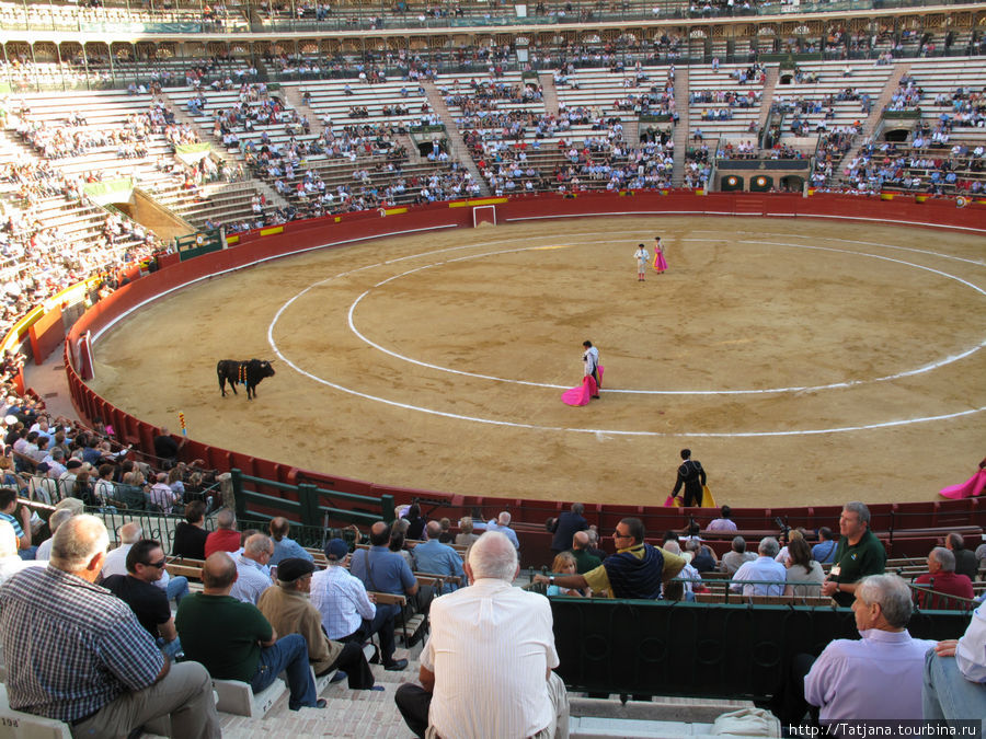 Арена для боя быков / Plaza de Toros