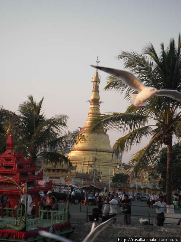 Янгон — город мира Янгон, Мьянма