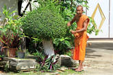 Монах за работой по благоустройству территории монастыря, Ват Ко Лак в Прачуап Кхири Кхан