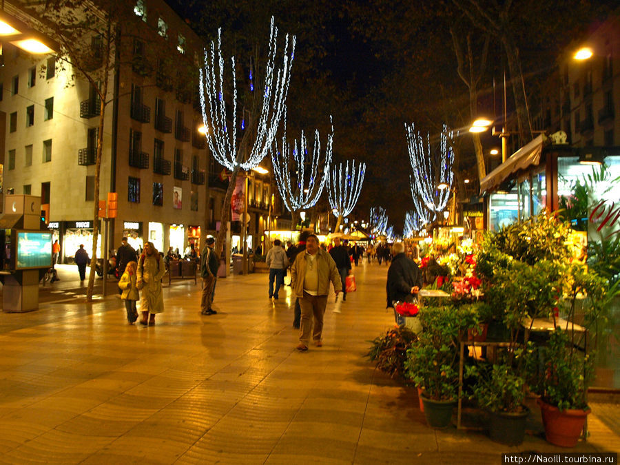 Рождественские огни Барселоны Барселона, Испания