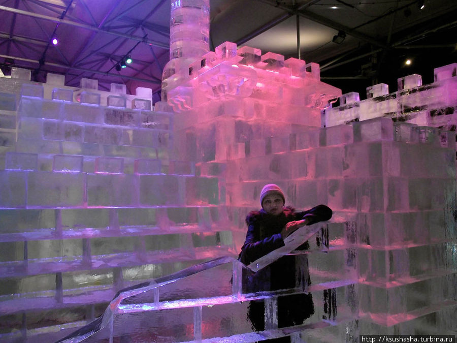 Выставка ледяных скульптур Иерусалим, Израиль Выставка ледяных скульптур Иерусалим, Израиль