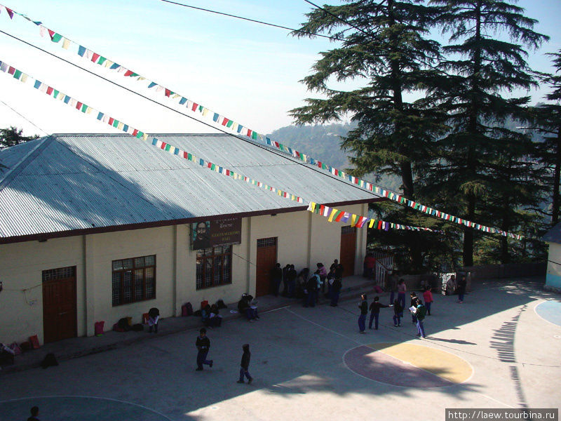 Тибетская школа Дхарамсала, Индия