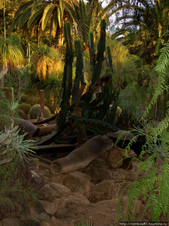 Тенерифе туристический Тенерифе туристический