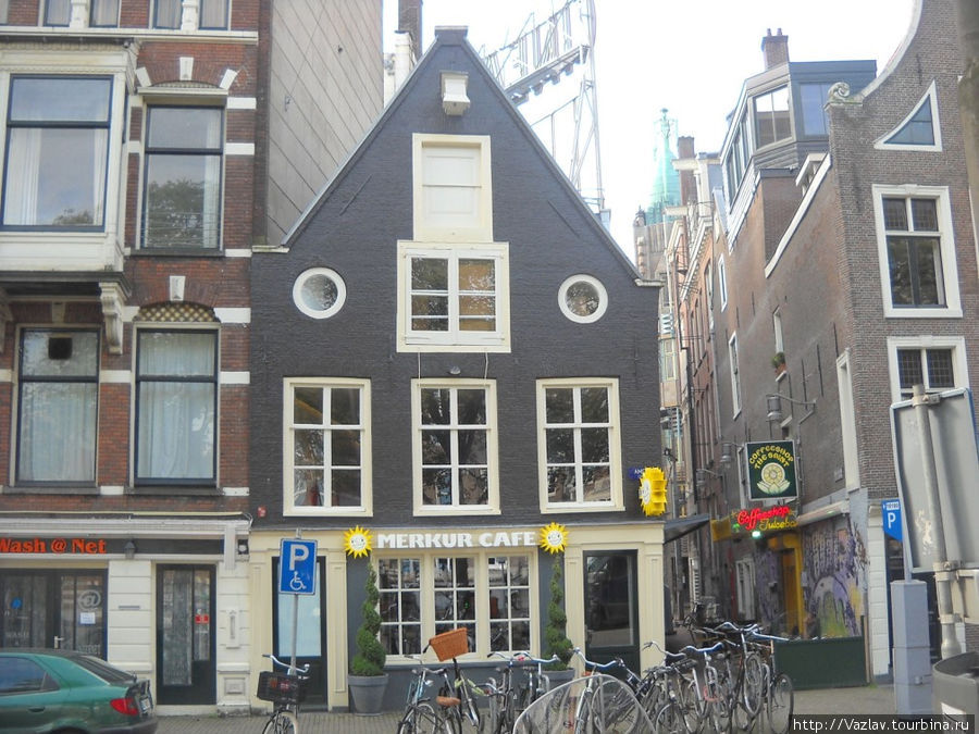 Недомерок Амстердам, Нидерланды