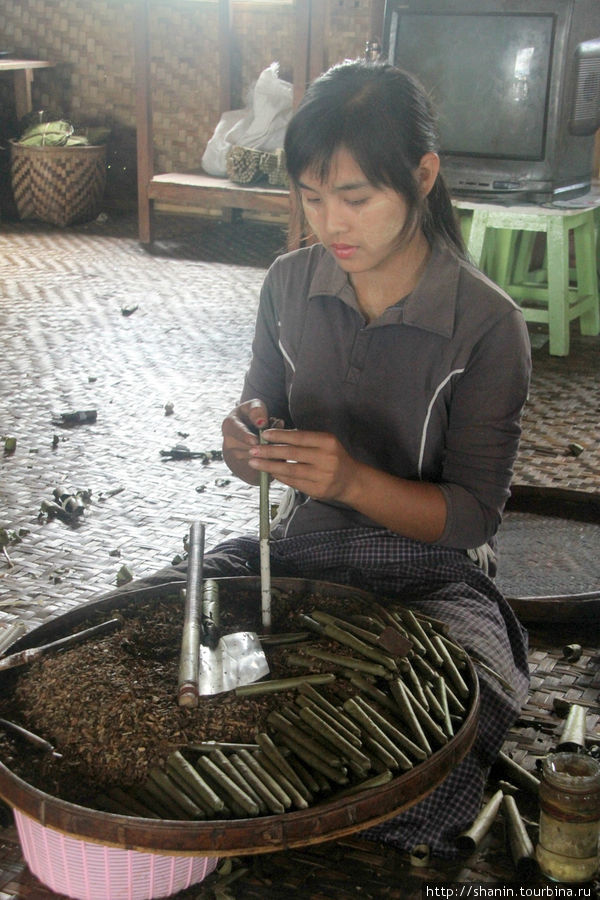 Сигарная фабрика Ньяунг-Шве, Мьянма