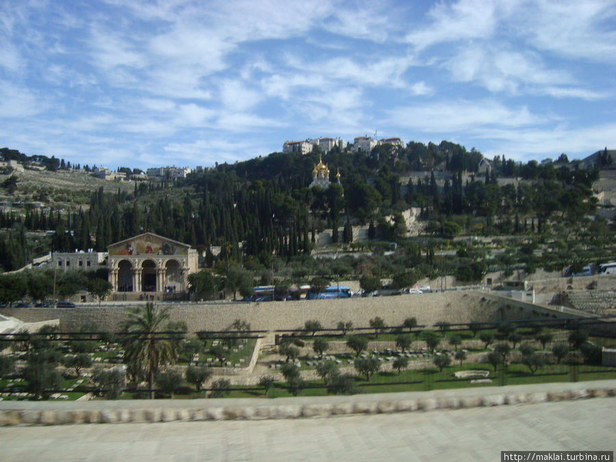 Вид на Масличную гору Иерусалим, Израиль