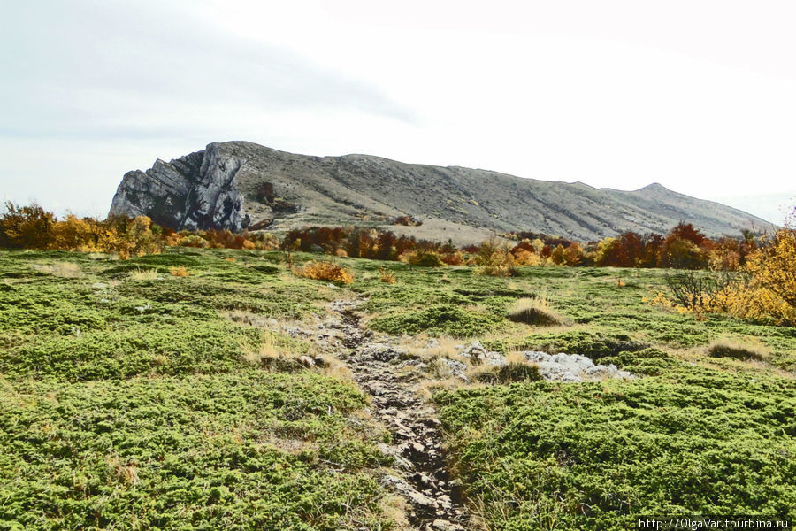 Гора Ангар-Бурун — на ее вершину и предстояло подняться Алушта, Россия