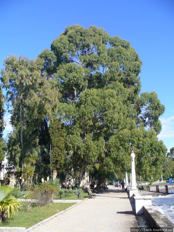 Набережная Махаджиров Набережная Махаджиров