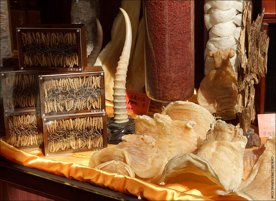 На казино мне, в общем-то, плевать с высокой колокольни. Мне хотелось поесть и побродить по улочкам, посмотреть крепости и прочие остатки португальского присутствия. В витринах магазинов красовались китайские странности — какие-то червяки, рога единорога, ласточкины гнезда и прощая хренотень На казино мне, в общем-то, плевать с высокой колокольни. Мне хотелось поесть и побродить по улочкам, посмотреть крепости и прочие остатки португальского присутствия. В витринах магазинов красовались китайские странности — какие-то червяки, рога единорога, ласточкины гнезда и прощая хренотень