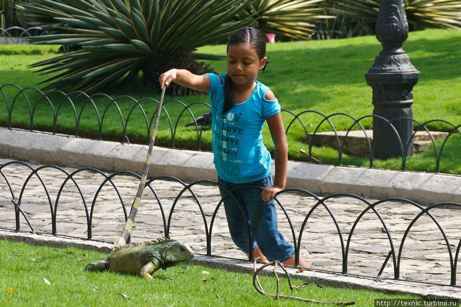 Парк Семинарио Гуаякиль, Эквадор