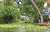 Мужчина пробирается по каналу сквозь бурно заросшие водоросли