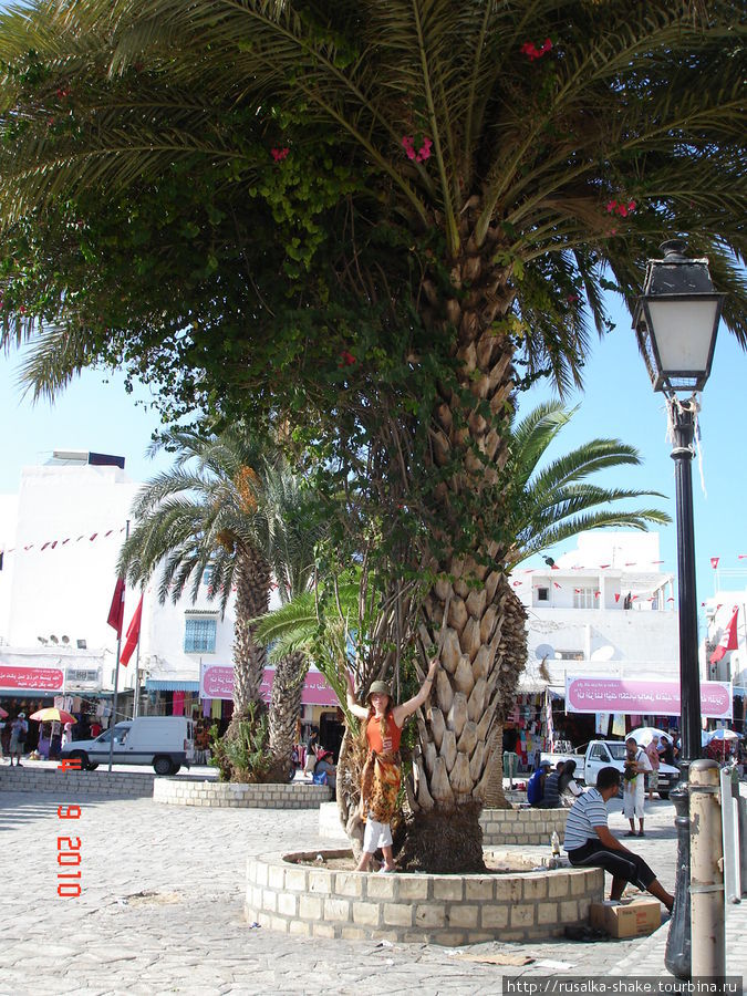Сус - медина -порт - рынок Сусс, Тунис