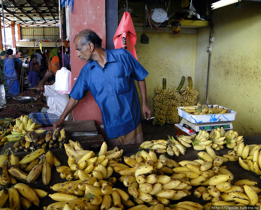 Бананы здесь небольшие и по вкусу отличаются от тех, к которым привыкли мы...