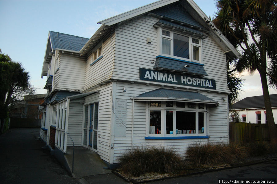 Ветеринарная клиника Крайстчерч, Новая Зеландия