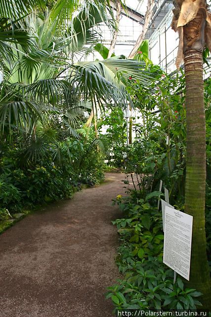 Ботанический сад Йена, Германия