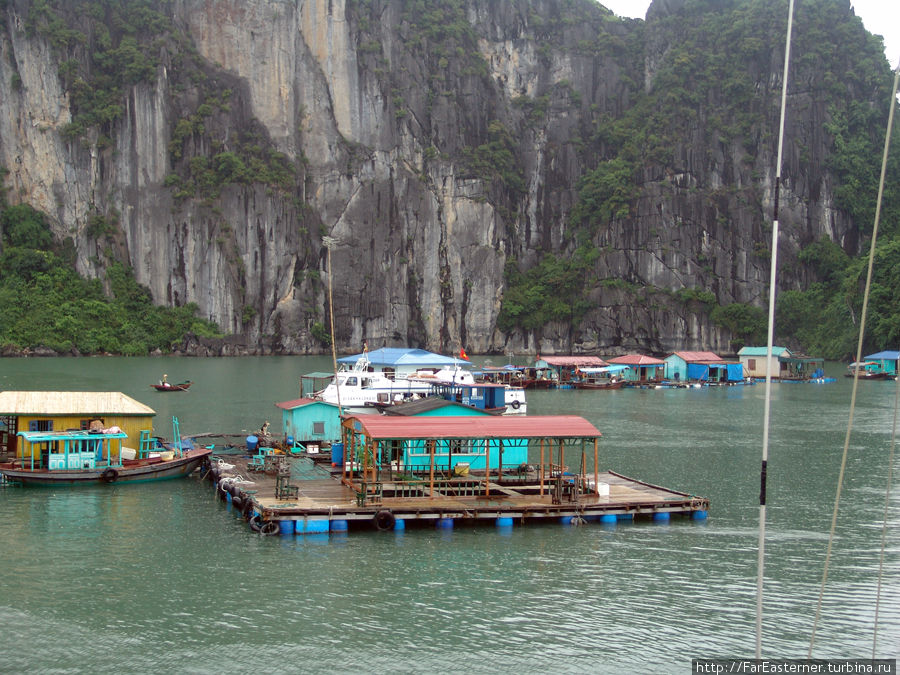 Плавучая рыбацкая деревушка Халонг бухта, Вьетнам