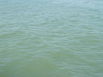 Вода в Адриатическом море очень специфического цвета.
