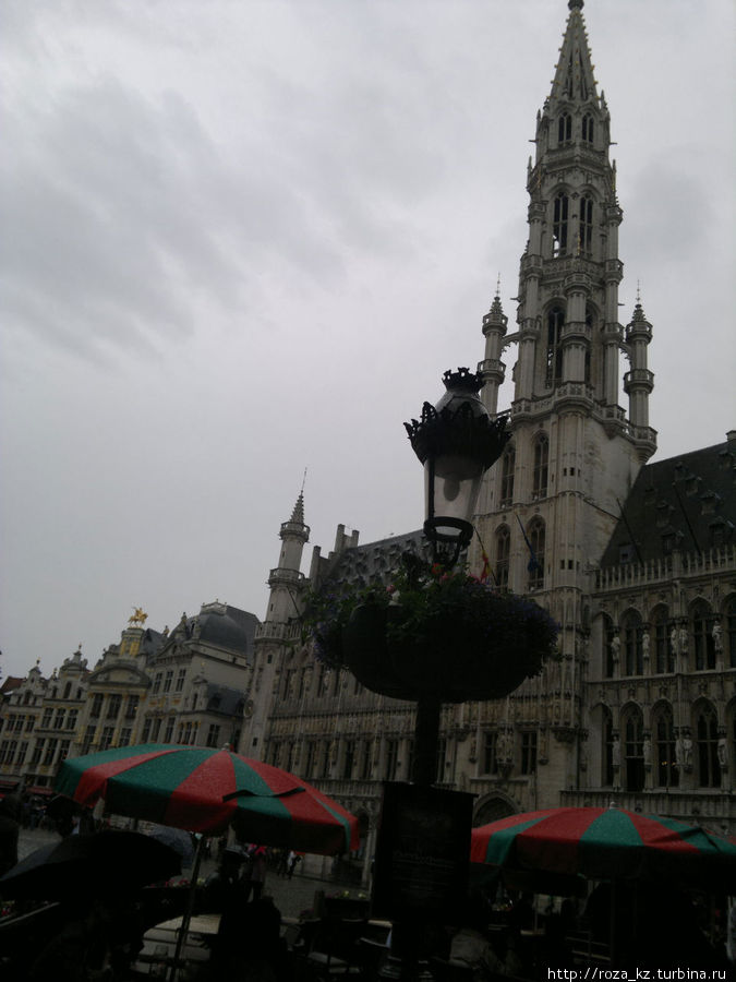 Знакомство с Grand Place Брюссель, Бельгия