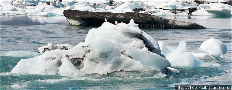 Неожиданно вынырнувший айсберг. Цвет – на выбор: белый, синий, зеленый и черный. Йёкюльсаурлоун ледниковая лагуна, Исландия