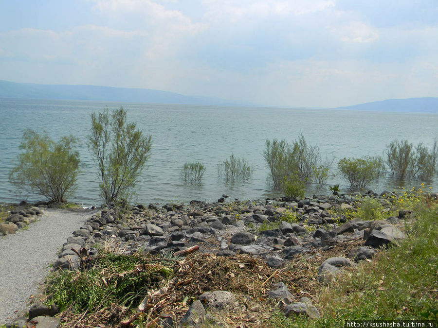 Берег озера совсем близко — в нескольких метрах от входа. Здесь паломники, или посетители могут омыть ноги в воде галилейского моря (Кинерет). Капернаум, Израиль