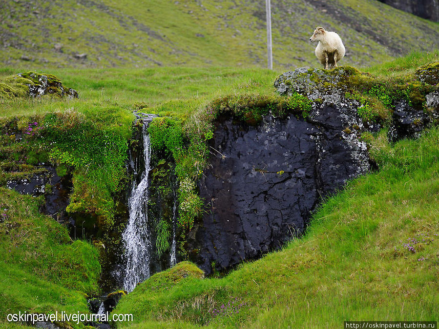 Фотоприключения в Исландии. Первые кадры Южная Исландия, Исландия