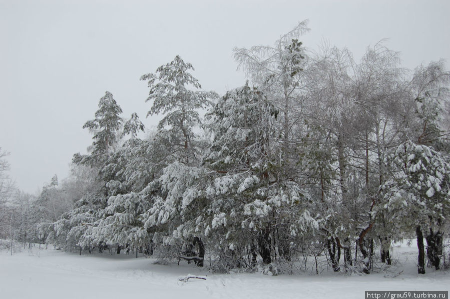 Зима на Кумысной поляне Саратов, Россия