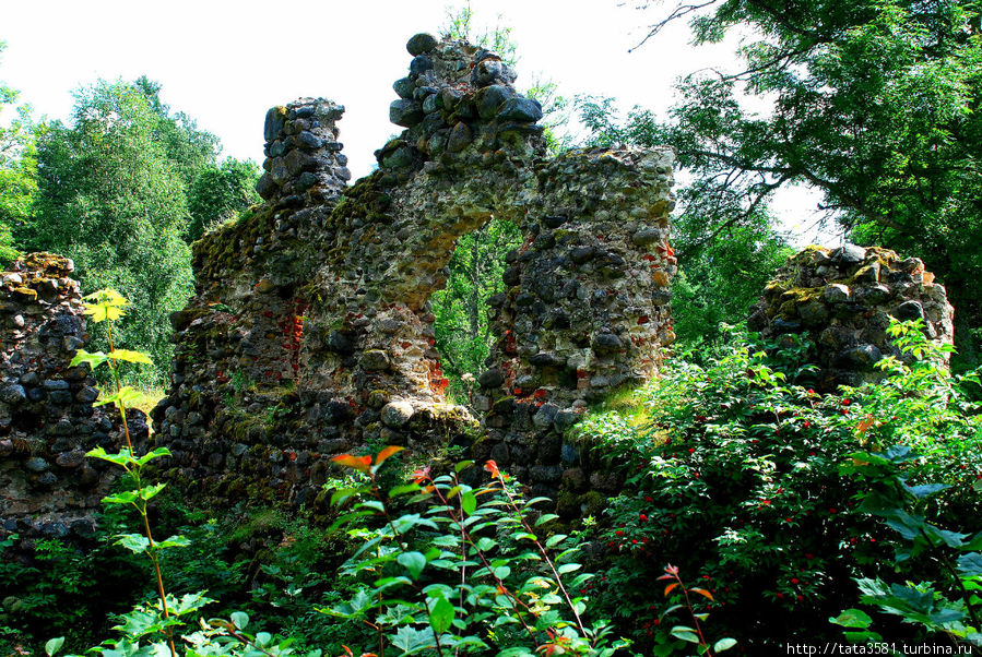 Развалины рыцарского замка Хельме