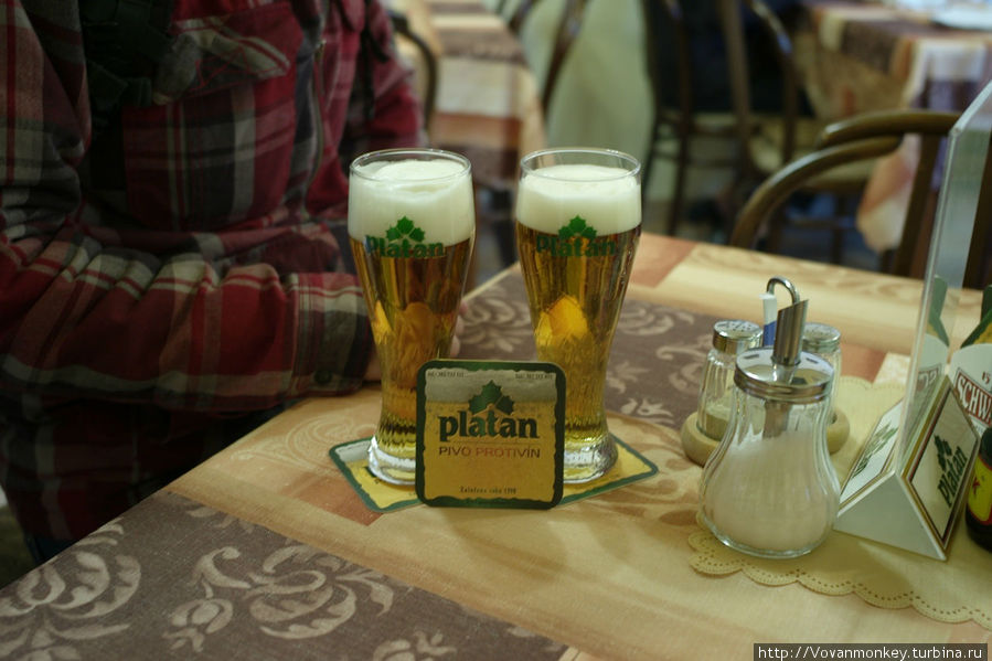 Название Platan впервые было применено в 1973 г. для 11% светлого лагерного пива из Противина. Вдохновением стала прекрасная тройная платановая аллея, уникальная в Чешском климате, окаймляющая подъездную дорогу к пивоваренному заводу. Название Platan настолько прижилось, что потребители стали делать знак равенства между Platan и пивоваренный завод в г. Противин. По этой причине было принято решение о том, что все пиво из Противина будет называться Platan, а лист платана станет знаком пивоваренного завода. pivo-platan.cz Глубока-над-Влтавой, Чехия