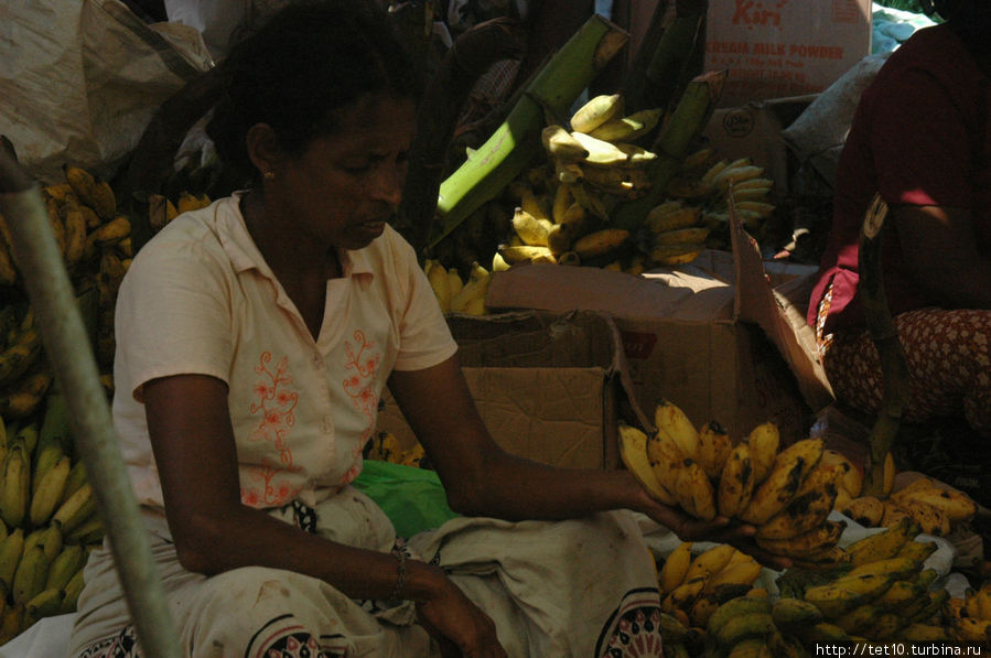 восточный базар — это что-то ! Южная провинция, Шри-Ланка