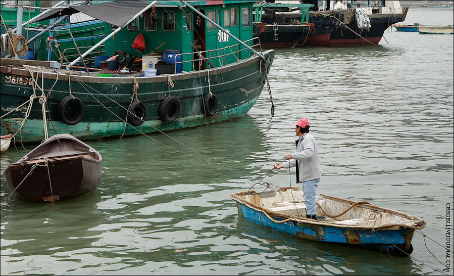 Эти экскурсии длятся около получаса и включают в себя прогулку на лодке по главной артерии деревни — небольшому заливу. Тут можно посмотреть, как живут местные. А потом моторка плывет в открытое море посмотреть на белых дельфинов, которые водятся в этих водах Остров Лантау, Гонконг