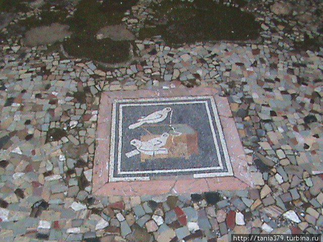 Мозаика Дома Фавна. Помпеи, Италия