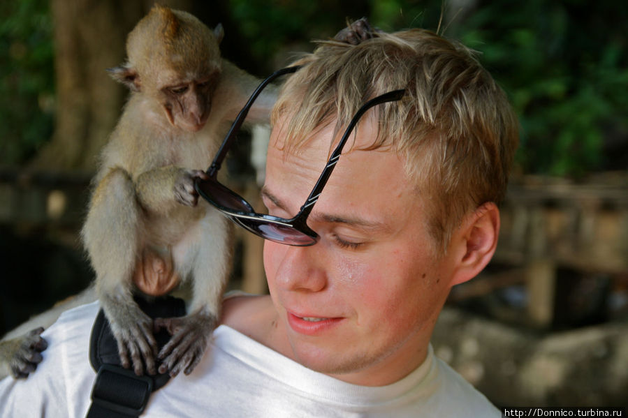 Осторожно обезьянки: Мартышка и Очки Краби, Таиланд