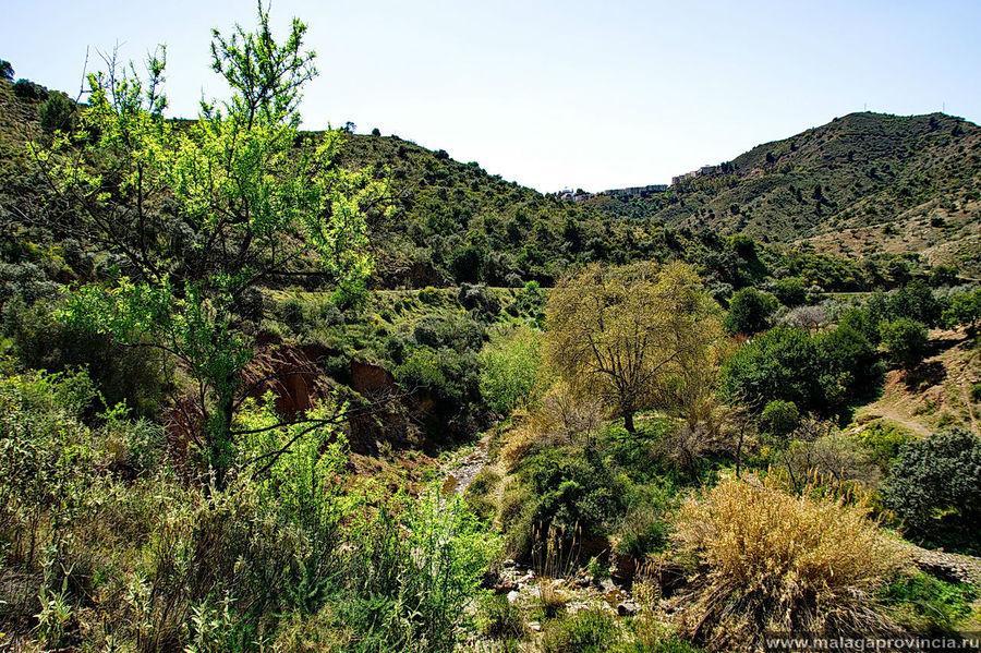 Миндаль — самый главный житель этой местности Миндаль — самый главный житель этой местности