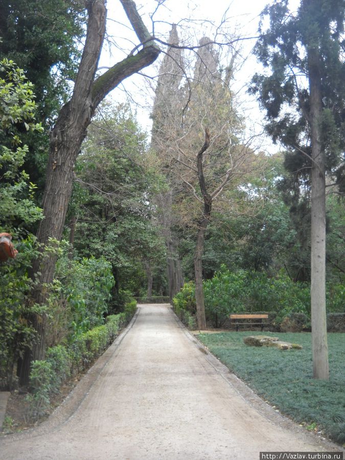 В садах В садах