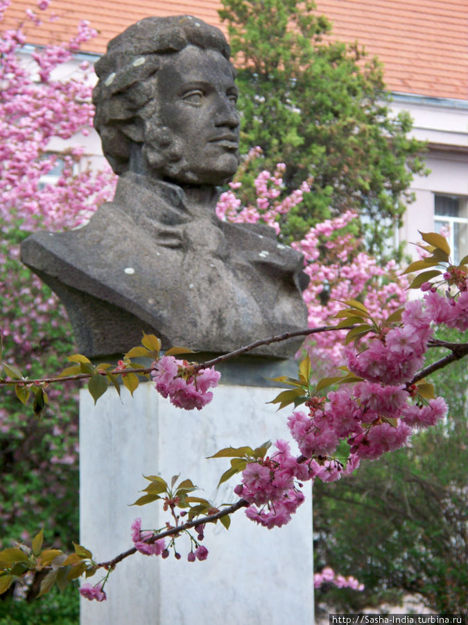 Памятник Пушкину Ужгород, Украина