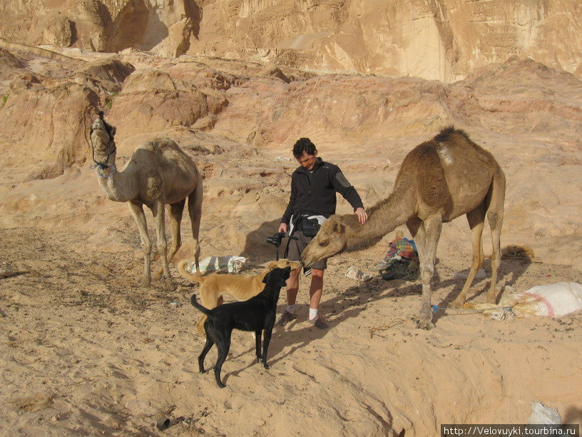 Зимние велопутешествия по Синаю Провинция Южный Синай, Египет