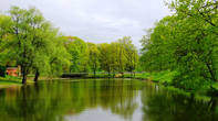 калининградский парк