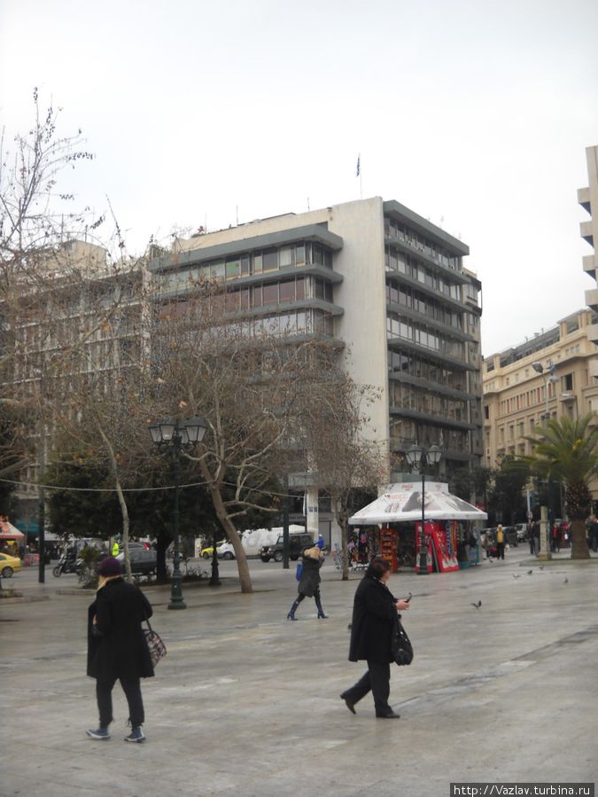 Местная жизнь Местная жизнь