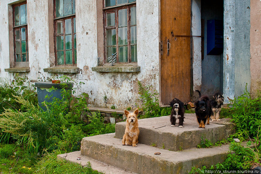 Русский остров Русский остров, Россия Русский остров Русский остров, Россия