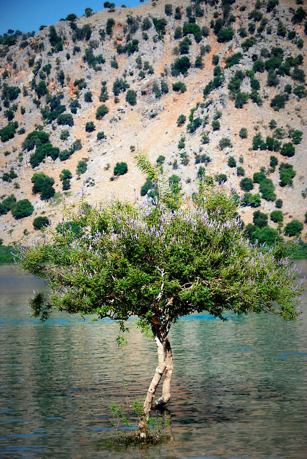 Cамое южное озеро в Средиземноморье Остров Крит, Греция