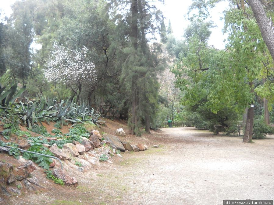 Внутри садов Внутри садов