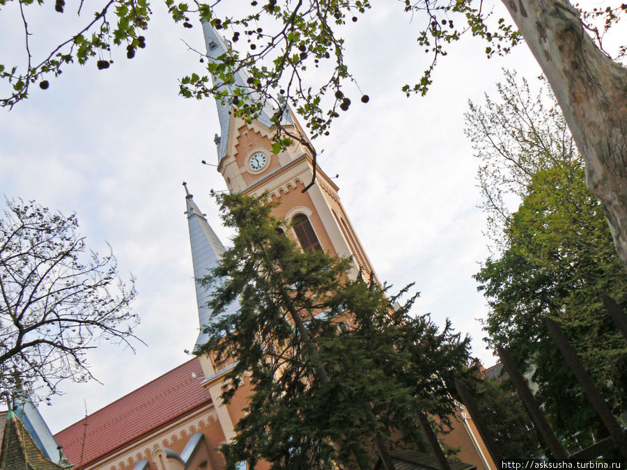 Изюминка Закарпатья - Мукачево Мукачево, Украина Изюминка Закарпатья - Мукачево Мукачево, Украина