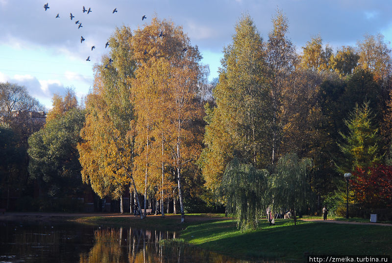 Осень Санкт-Петербург, Россия