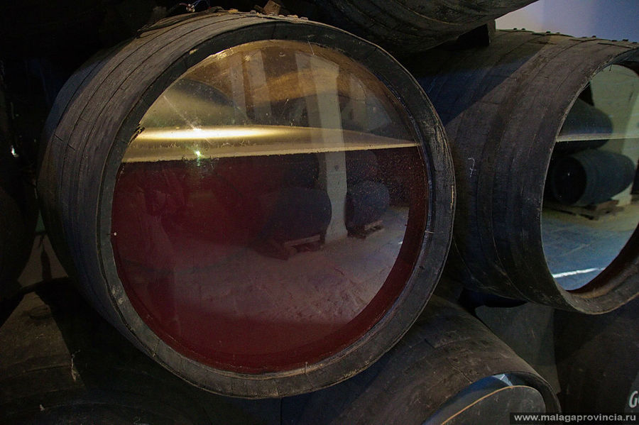 Так, под слоем плесени-грибков, зреет вино Херес-де-ла-Фронтера, Испания